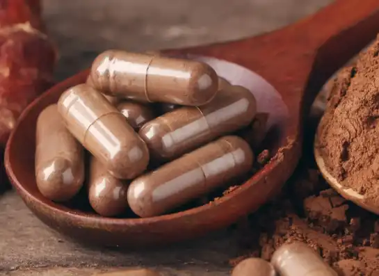 Organic Reishi Mushroom Powder Application.png